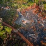 Desmatamento na Amazônia