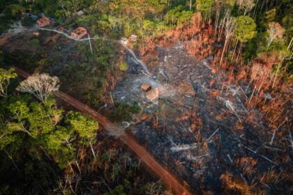 Desmatamento na Amazônia