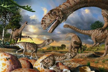 Expectativa de Vida dos Dinossauros