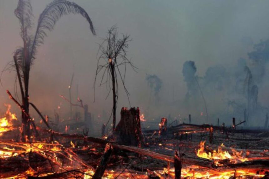 Crise Climática no Brasil