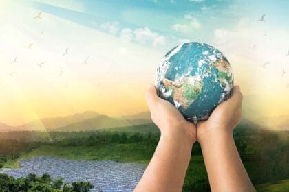 A Importância da Sustentabilidade no Mundo Atual