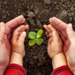 Sustentabilidade: O Caminho para um Planeta Melhor