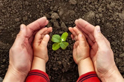 Sustentabilidade: O Caminho para um Planeta Melhor