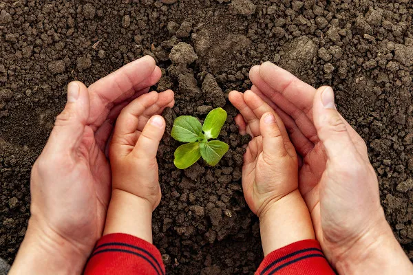Sustentabilidade: O Caminho para um Planeta Melhor